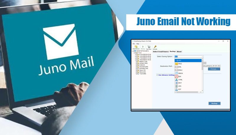Juno Email Not Working
